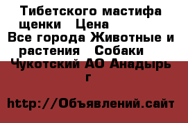  Тибетского мастифа щенки › Цена ­ 10 000 - Все города Животные и растения » Собаки   . Чукотский АО,Анадырь г.